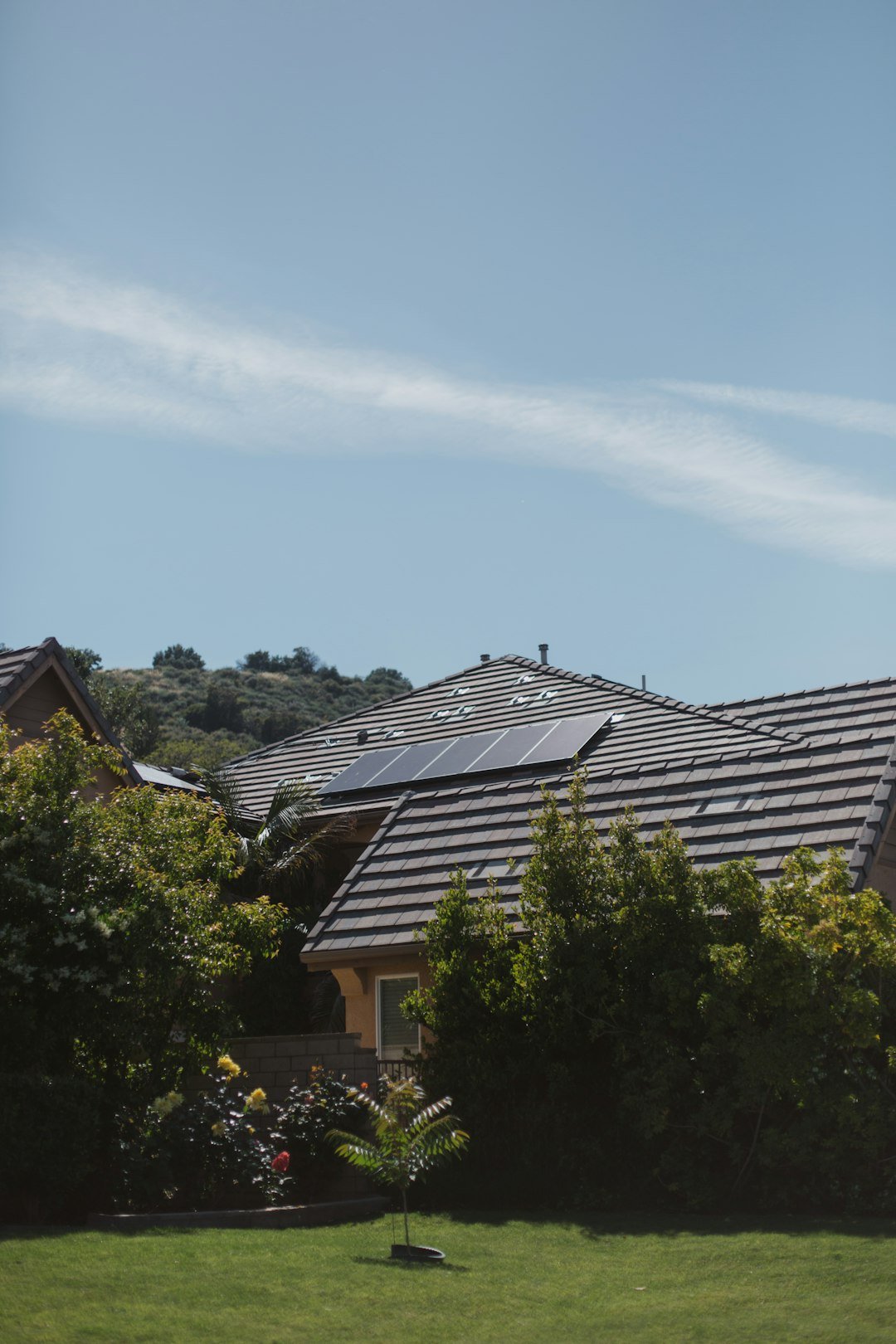 Home Vivint Solar - Solar Panels on home with bushes in backyard.